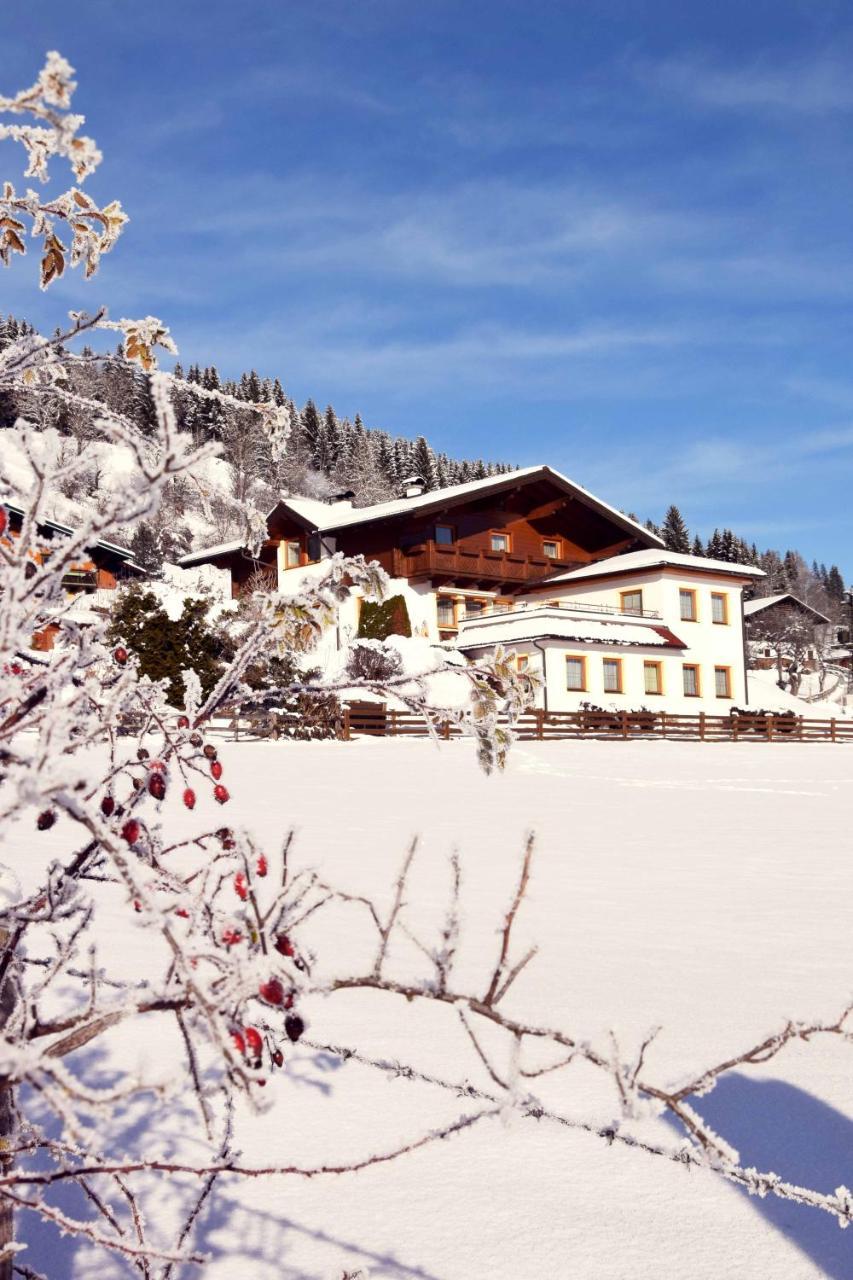 Ferienhaus Steger Maria Flachau Luaran gambar