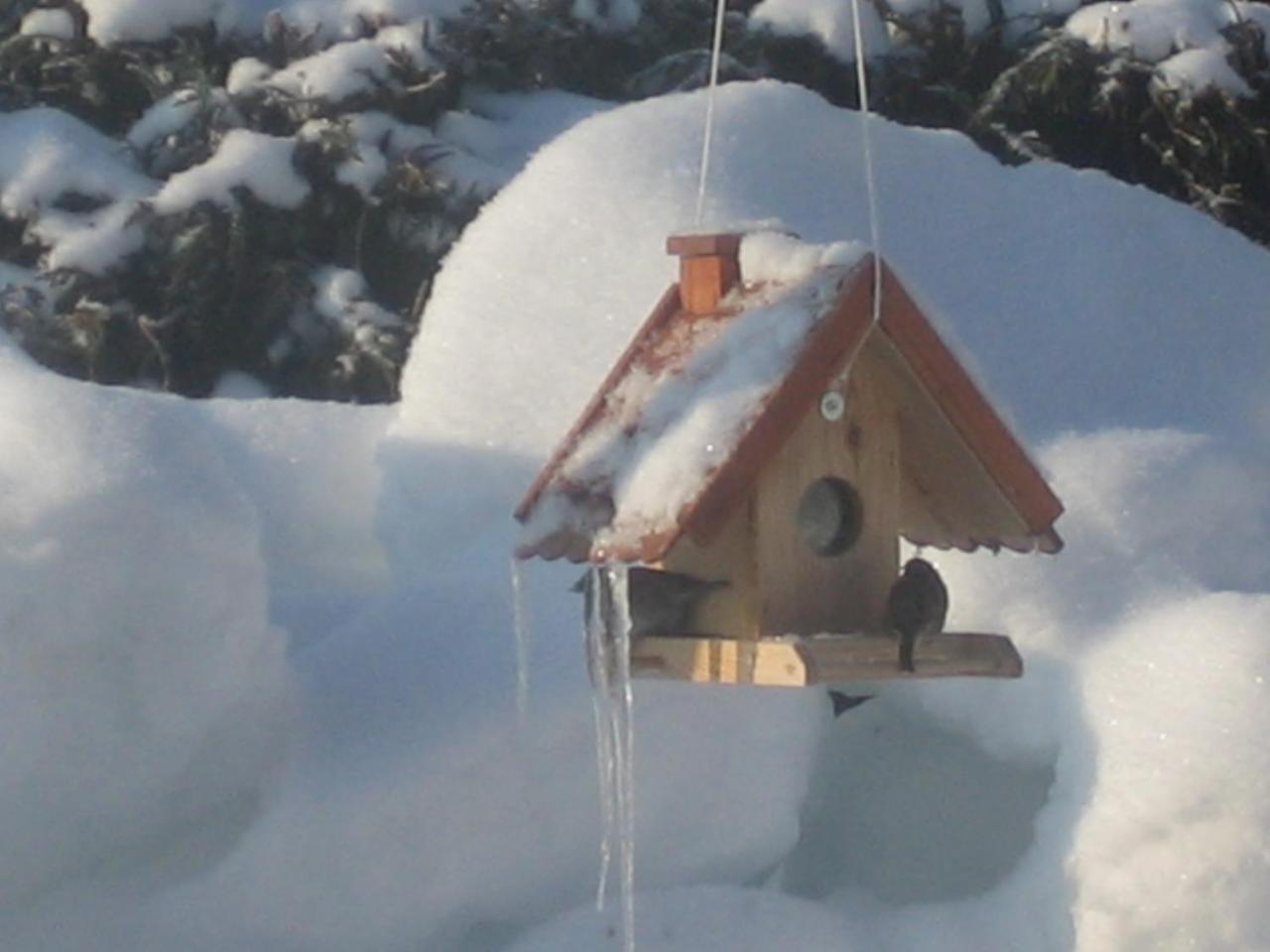 Ferienhaus Steger Maria Flachau Luaran gambar